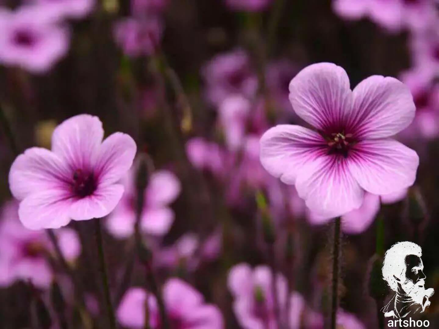 آموزش نقاشی رنگ روغن